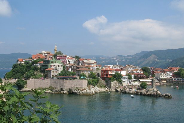 Amasra marks fourth anniversary of coal mine blast that killed 43 miners