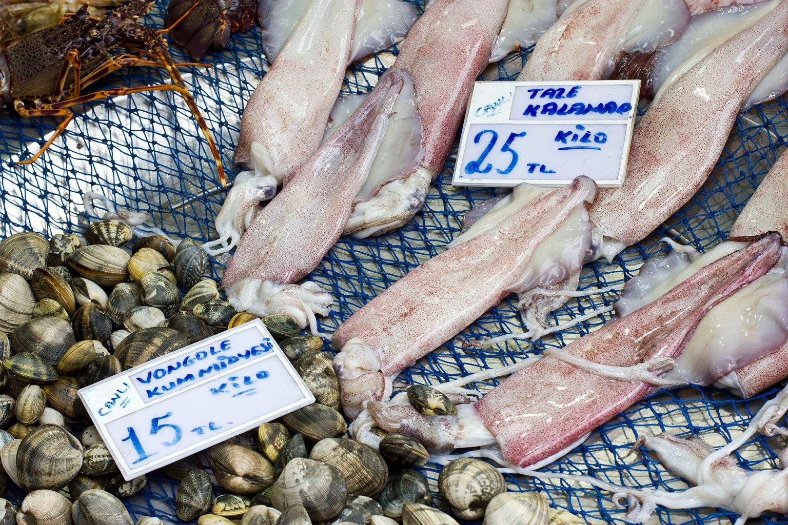 Bonito glut sends Istanbul palamut prices as low as 40 lira a fish as shoppers stock up