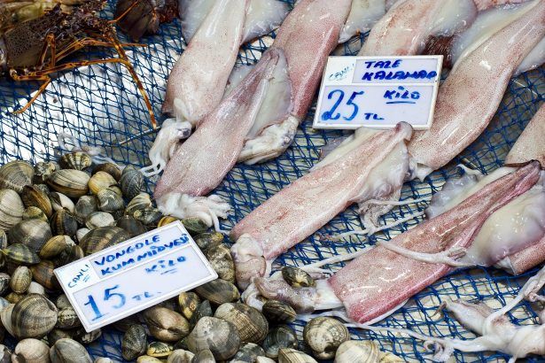 Bonito glut sends Istanbul palamut prices as low as 40 lira a fish as shoppers stock up