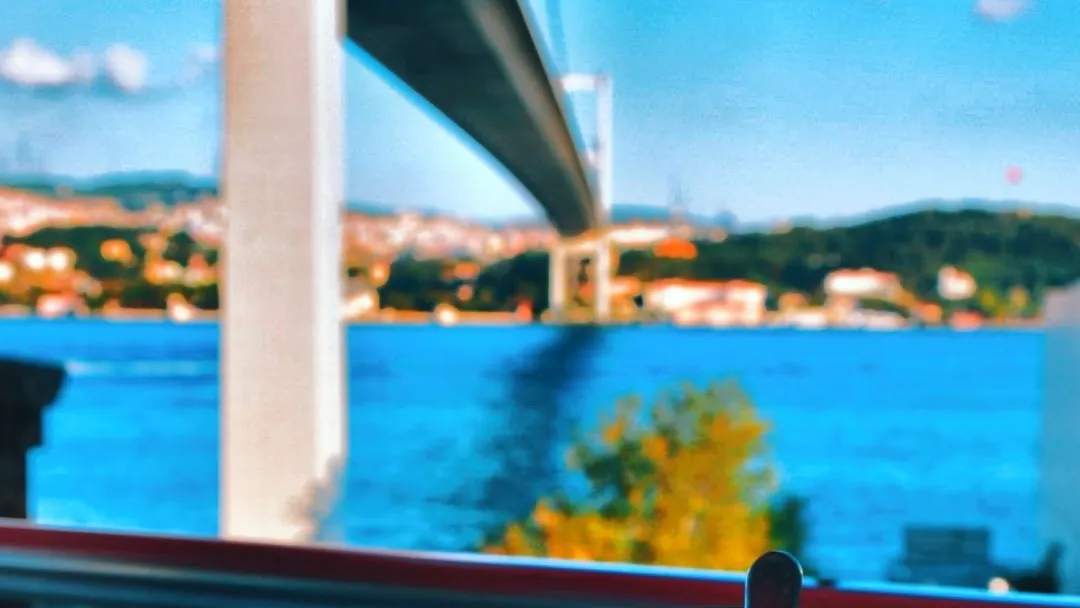 Erdoğan and Zelenskyy agree to work on Black Sea grain corridor; Erdoğan says 'a fair peace has no losers'