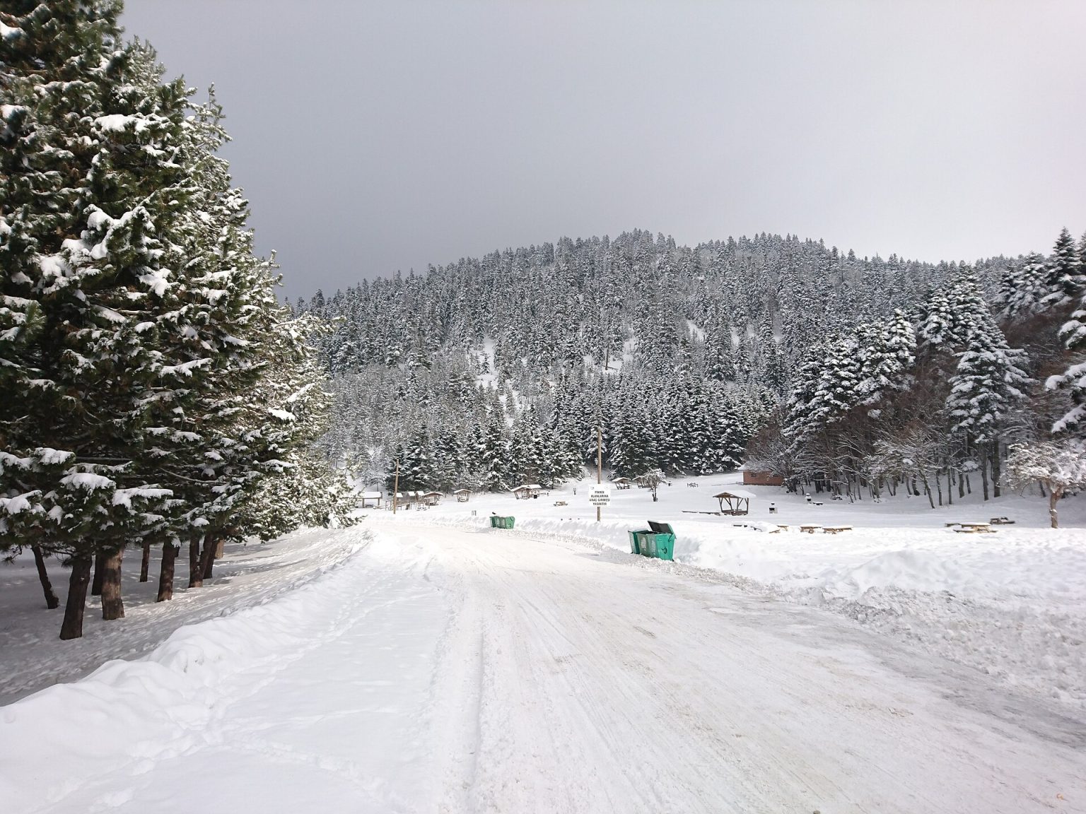 Snow-covered road through pine forest at Abant in winter