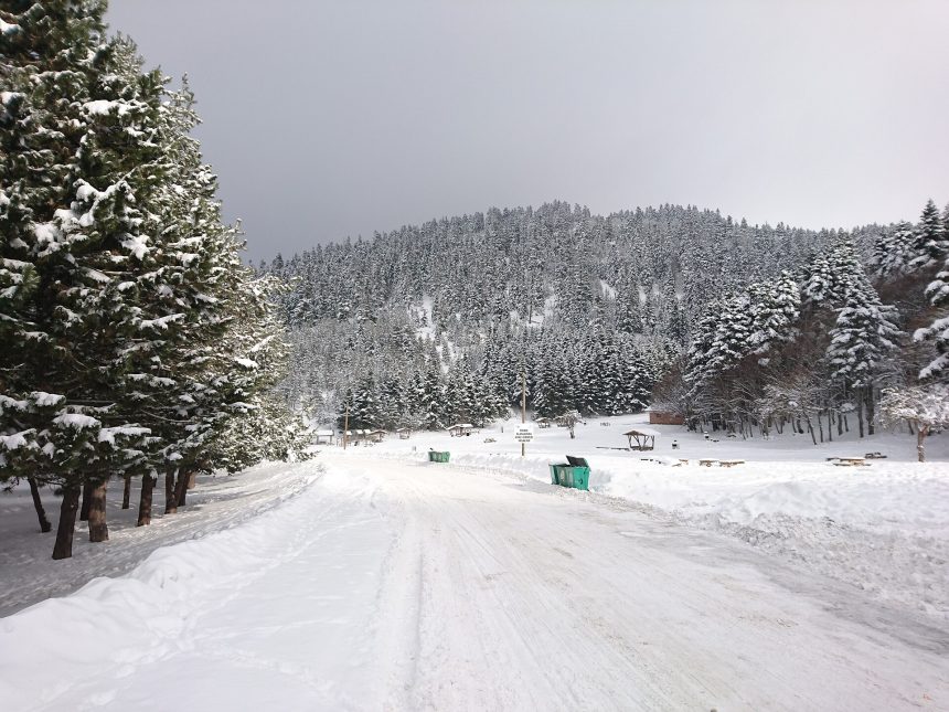 Snow-covered road through pine forest at Abant in winter
