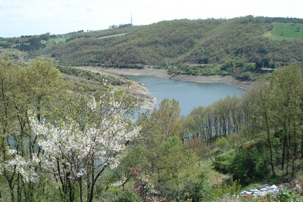 Istanbul’s reservoirs jump to 45% in a day after record rain eases water worries