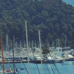 Marmaris Chamber of Commerce elects Sebahat Ece Baysal Güngör as president