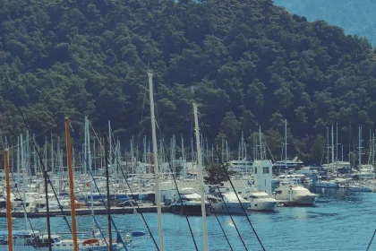 Marmaris Chamber of Commerce elects Sebahat Ece Baysal Güngör as president