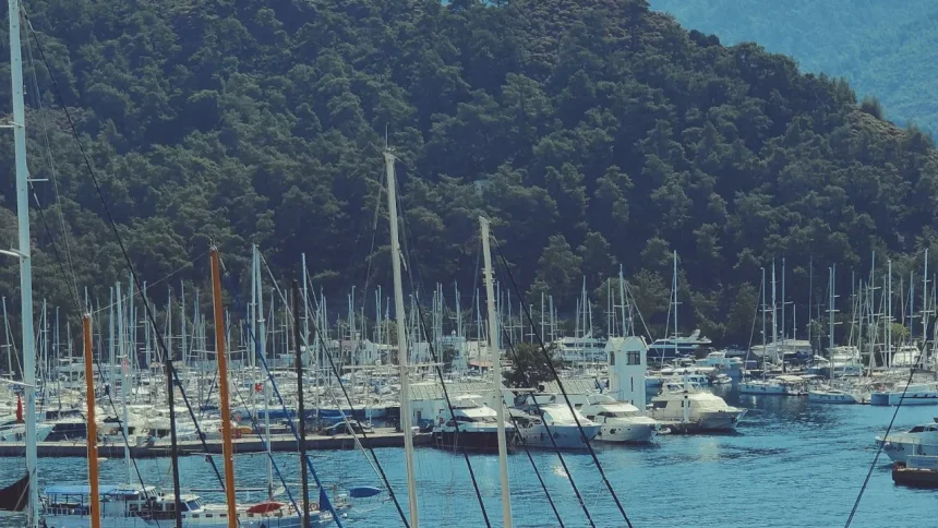 Marmaris Chamber of Commerce elects Sebahat Ece Baysal Güngör as president