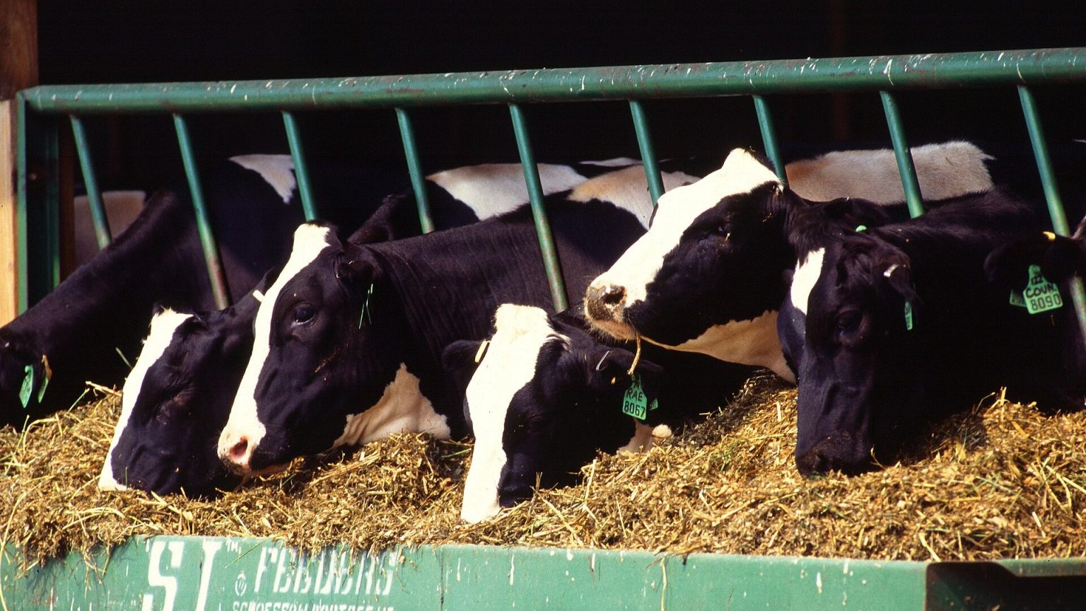 Türkiye's Meat and Milk Board details role as sole butter importer; sugar beet price set at 3,720 lira