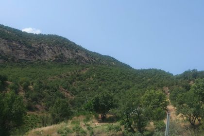 Forested mountains in Duhok Governorate
