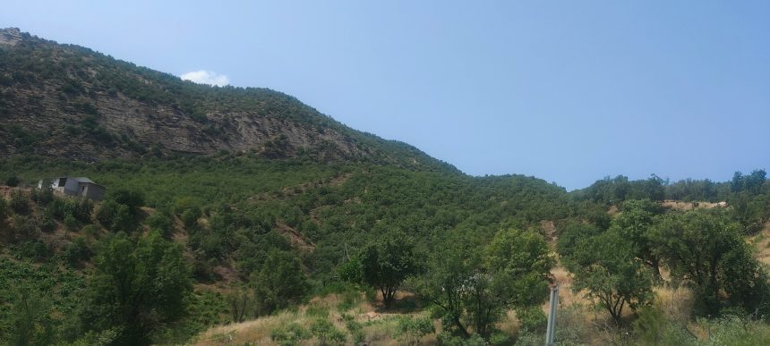 Forested mountains in Duhok Governorate