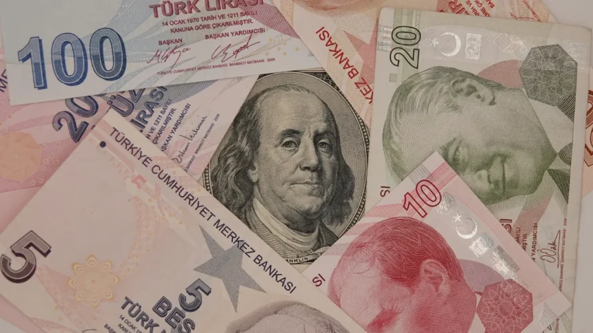 Turkish households and firms lower their inflation expectations in October